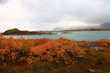 autumn in the Lofoten Islands norway