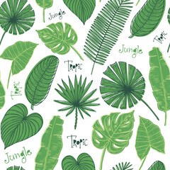 Vector seamless pattern with tropical leaves. Jungle exotic background.