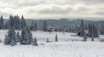 Obraz premium winter in Sumava National Park, Filipova Hut, Czechia