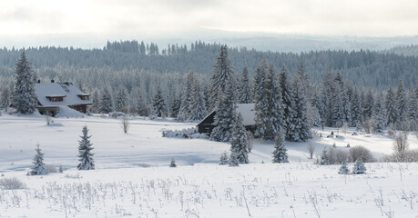 winter in Sumava National Park, Filipova Hut, Czechia