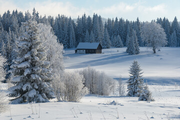 winter in Sumava National Park, Filipova Hut, Czechia