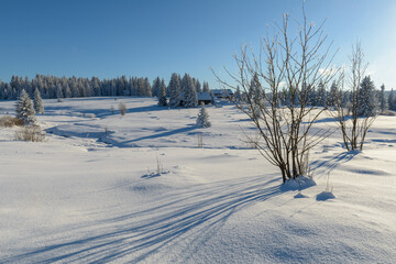 winter in Sumava National Park, Filipova Hut, Czechia