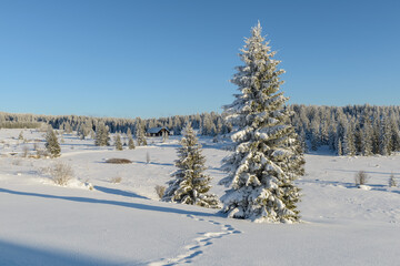 winter in Sumava National Park, Filipova Hut, Czechia