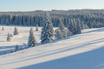 Obraz premium winter in Sumava National Park, Filipova Hut, Czechia