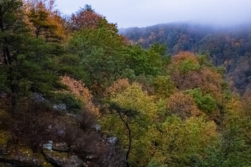 Breaks Interstate Park scenic destination
