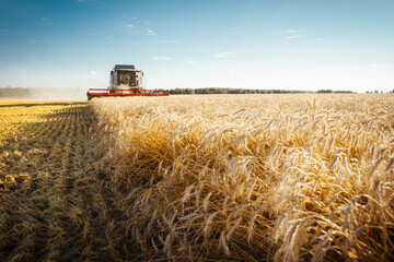 Combine harvester harvests ripe wheat. Concept of a rich harvest. Agriculture image