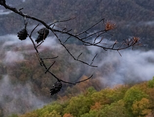 Breaks Interstate Park scenic destination