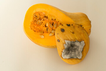 Moldy pumpkin on the white background.