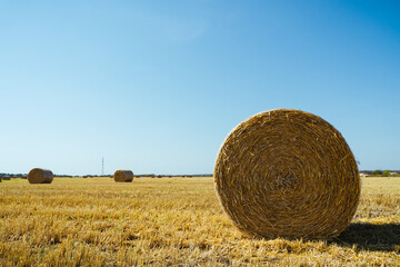 Landscape with straw bales on agricultural field