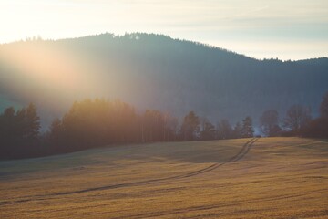 misty morning in the mountains