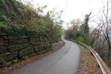 country road, Prato Italy