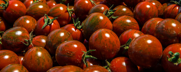 background from red ripe tomatoes grown without chemistry, banner