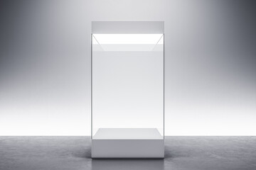 Contemporary gallery interiro with empty exhibition glass box.