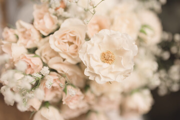 white and pink garden roses 1