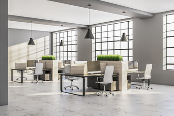 Modern interior office with computers and grass on desk
