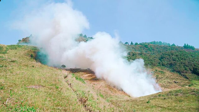 Toma a&eacute;rea panor&aacute;mica de una monta&ntilde;a de cultivos y arboles de pino y otras plantas quem&aacute;ndose. Un gran fuego rodea una zona natural en una tarde de mucho sol.