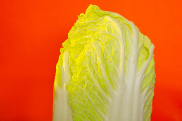 Chinese cabbage