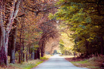 meer, beach, himmel, küste, wasser, fels, ozean, blau, landschaft, fels, natur, piter, cloud, anreisen, küstenlinie, insel, sommer, horizont, stein, gestade, bay, cloud, schön, anblick, meerlandschaft