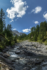 Fototapeta na wymiar Wild alpine river with rocks in Switzerland.