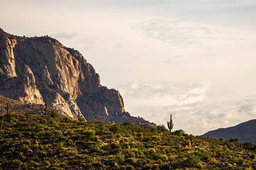 Fototapeta na wymiar A sheer cliff face in Pusch Ridge as seen from Catalina State Park, Oro Valley, Arizona. (near Tucson, before Bighorn fier)