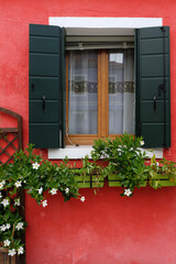 window with red flowers