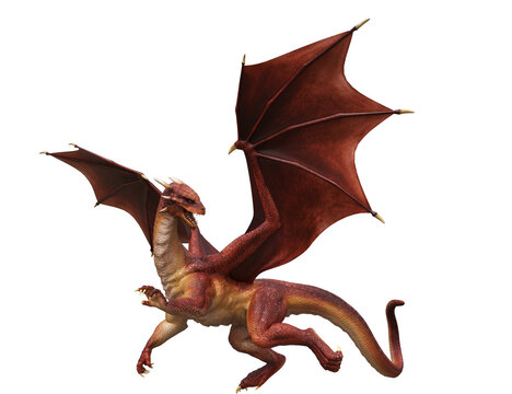 3d Ilustration Red Dragon Wyvern