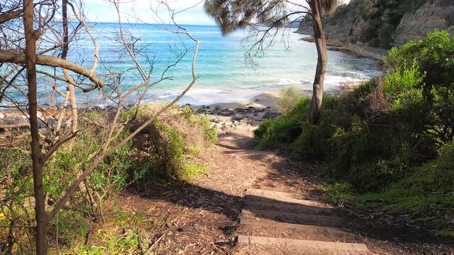 pristine wild landscape at Boronia Beach in Tasmania, Australia with lush vegetation and rocks on the shore
