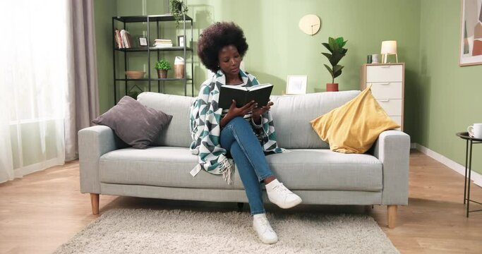 African American young beautiful happy female sitting on sofa covered in plaid resting and reading favorite book enjoying at home. Leisure concept. Woman reads novel in cozy room. Self education