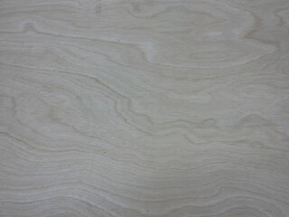 Obraz premium plywood texture for background. 