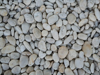 white pebble or stone gravel in garden.