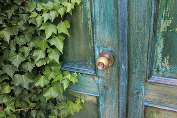 old door with green door