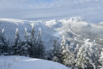 Stowe Ski Resort in Vermont, view to the Mansfield mountain slopes, December fresh snow on trees early season in VT, panoramic hi-resolution image