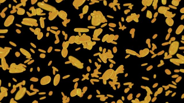 Flying many Koban coins on black background. Japanese oval golden coin. Money in Edo period. 3D animation of coin rotating. Loop animation.