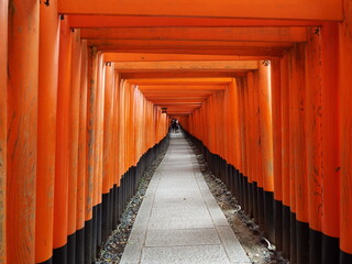 京都　伏見稲荷大社の参道の鳥居のトンネル