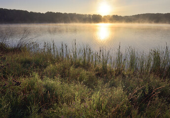 Sunrise over the Forest lake in the morning