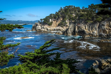 Pacific Ocean Coastal inlet near central California with trees and kelp beds