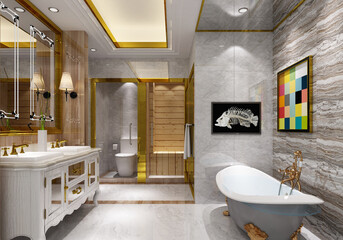 modern and luxury toilet concept