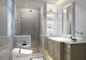 modern and luxury toilet concept