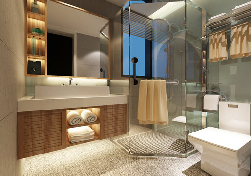 modern and luxury toilet concept