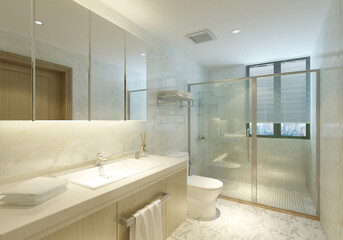 modern and luxury toilet concept