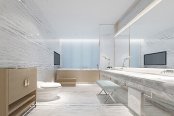 modern and luxury toilet concept