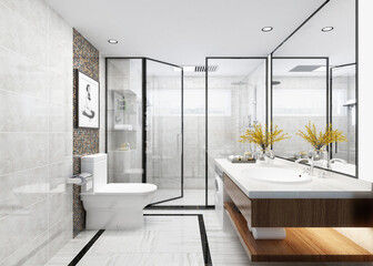 modern and luxury toilet concept