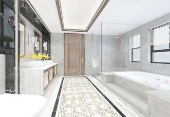 modern and luxury toilet concept