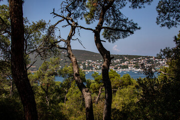 The magnificent view of Heybeli Island, surrounded by the Marmara Sea on all four sides, under the open sky, combines with the impressive view of the Boats.