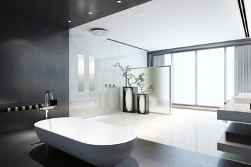 modern and luxury toilet concept