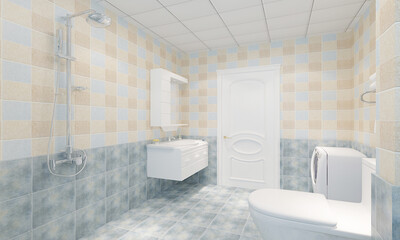 modern and luxury toilet concept