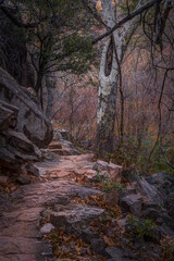 Sedona Arizona USA Grasshopper Trail