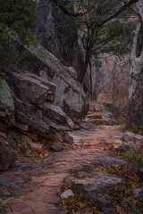 Sedona Arizona USA Grasshopper Trail