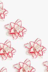 Beautiful floral pattern with white peony lily, natural flowers with red border.