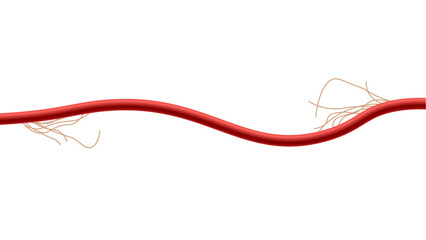 Electrical cable with damaged insulation realistic vector illustration isolated.